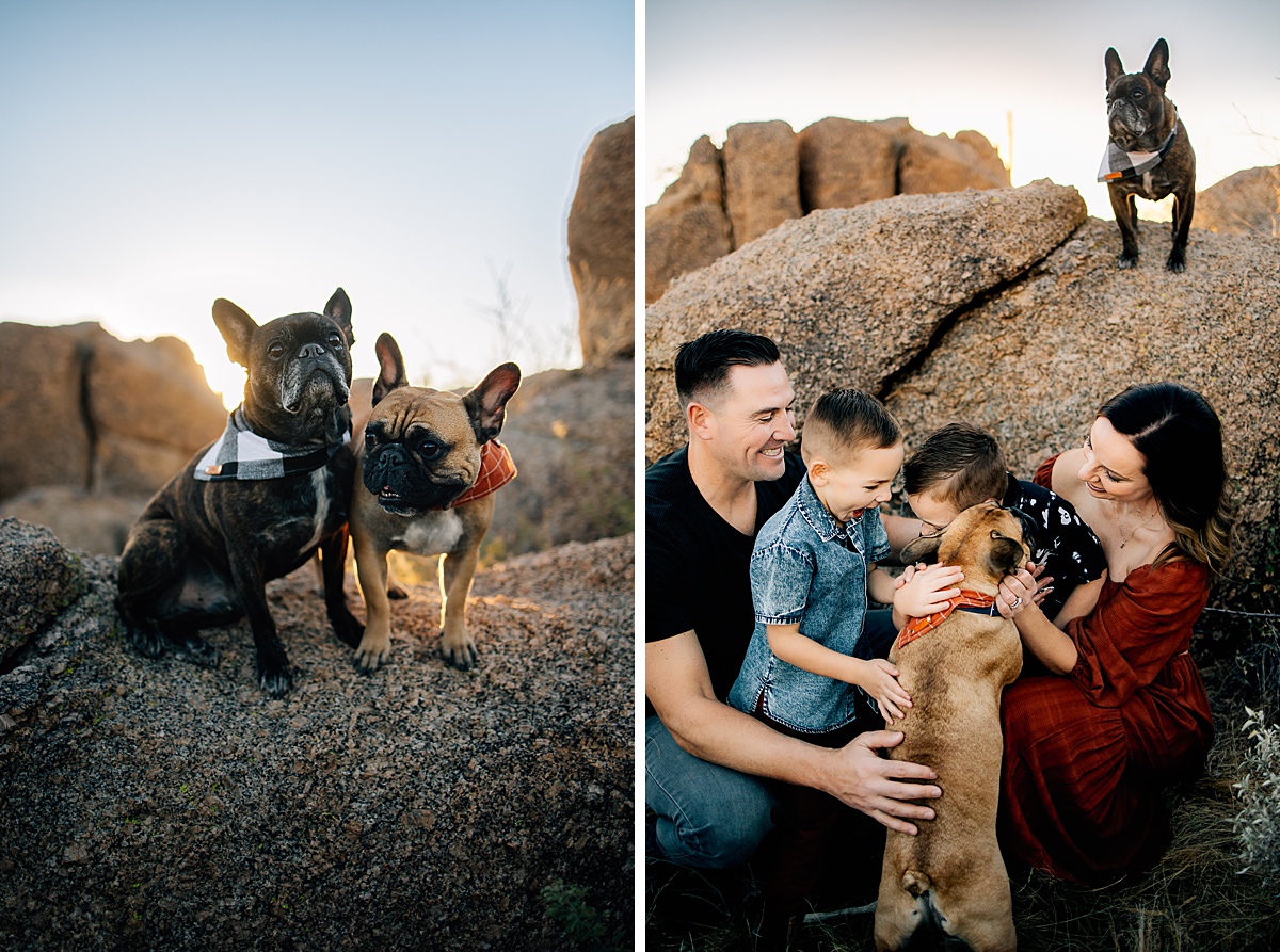 Include your Dog in Family Pictures | Everything you need to know