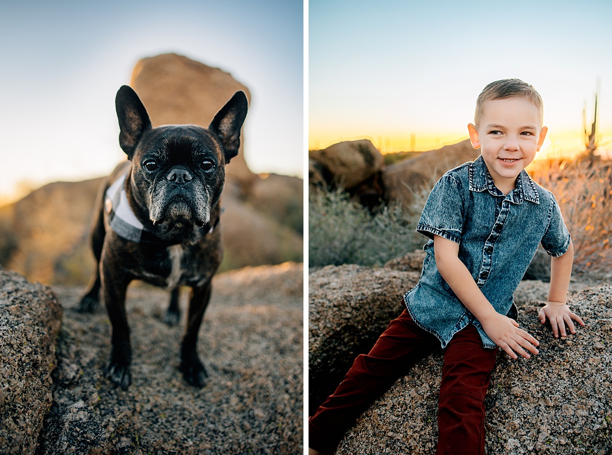 Include your Dog in Family Pictures | Everything you need to know