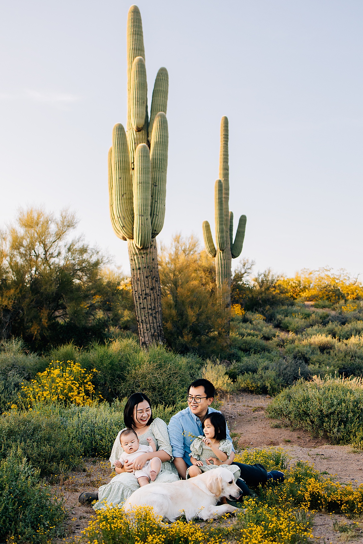 Golden Hour at Lost Dutchman State Park | Florence Arizona Family Photographer