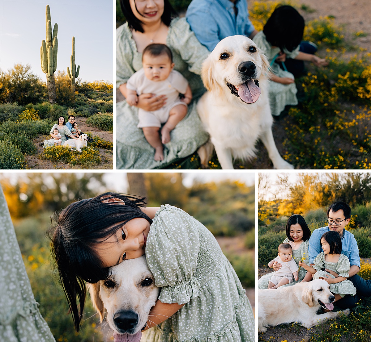 Golden Hour at Lost Dutchman State Park | Florence Arizona Family Photographer